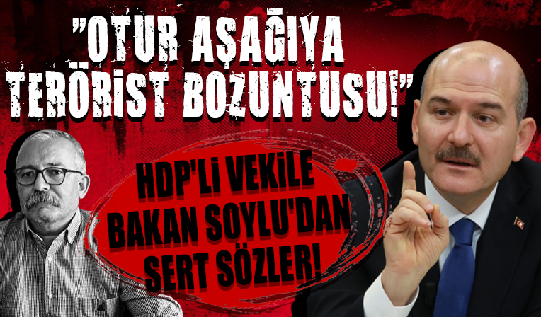 Bakan Soylu’dan HDP’li Turan’a çok sert tepki! 'Otur aşağıya terörist bozuntusu'