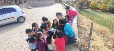 Bisikletli Kütüphaneci'ye BKM'den Destek