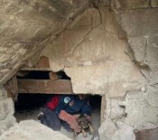 Bodrum Katinda Mahsur Kalan Yavru Köpekleri Itfaiye Kurtardi