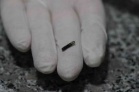 Evcil Hayvani Olanlar Dikkat Açiklamasi Son Tarih 31 Aralik