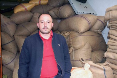 Findik Fiyatlari Yükselise Geçti