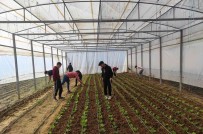 Hem Ögrenecekler, Hem Kazanacaklar