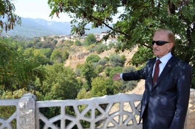 Karacasu Bir Çinarini Daha Kaybetti