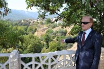 Karacasu Bir Çinarini Daha Kaybetti