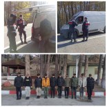 Kırklareli'nde 243 kaçak göçmen yakalandı