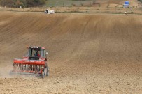 Nusrat Bugday Tohumlari Toprakla Bulusturuldu