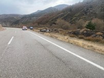 Viraji Alamayan Kamyonet Sarampole Devrildi Açiklamasi 1 Yarali