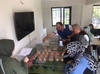 Barbaros Dönüsüm Projesinde Rekor Uzlasma