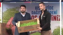 Beykoz'da Çiftçilere 400 Bin Kislik Fide Destegi