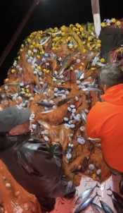 Çanakkale Bogazi'nda Aglarina Tek Seferde Yaklasik 2 Bin Palamut Takildi