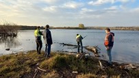 Çevre, Sehircilik Ve Iklim Degisikligi Bakanligindan Meriç Nehri Açiklamasi