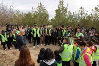 Fidanlar Toprakla Bulustu