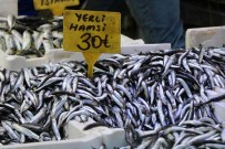 Hamsinin Fiyati Düstü, Talep Azaldi