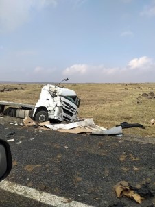 Sarampole Yuvarlanan Tirda Sürücü Yaralandi