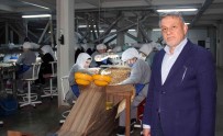 Avrupa'daki Enerji Krizi Findik Ihracatini Da Olumsuz Etkiledi
