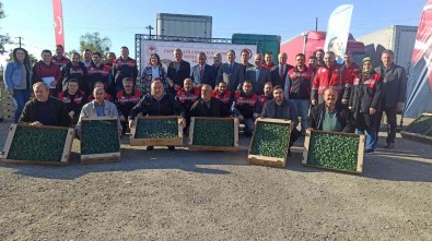 Çeltikten Sonra Bos Kalan Tarim Alanlarinda Brokoli Yetistirilecek