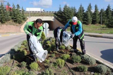 Körfez'de Atiklar Yesile Dönüsüyor