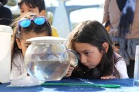 Vatandaslara Vektörle Mücadele Bilgilendirmesi