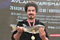 Balikçilar, Korkulu Rüyasi Haline Gelen Balon Baligini Yakalamak Için Yaristi