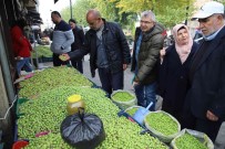 Gaziantep'te Yesil Zeytin Tezgaha Indi