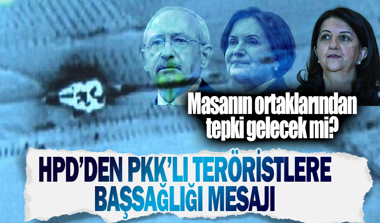 HDP'den PKK'lı teröristlere başsağlığı mesajı