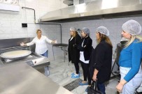 Kadina Yönelik Siddetle Mücadele Ve Acil Yardim Hatti Çalistayi Sona Erdi