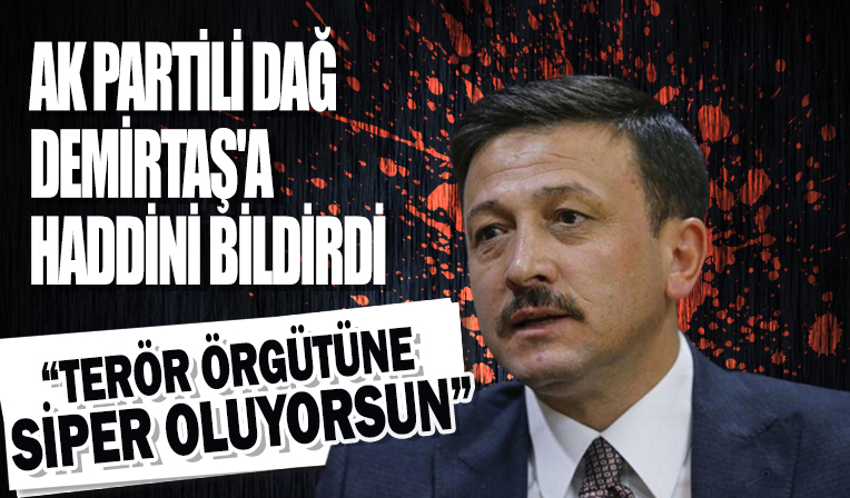 AK Partili Dağ, Demirtaş'a haddini bildirdi