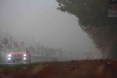 Elazig'da Sis Etkili Oldu