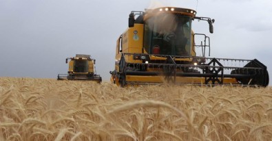 TÜİK tarımsal girdi fiyat endeksini açıkladı