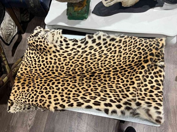 İstanbul'da farklı türde onlarca hayvana ait postlar ele geçirildi