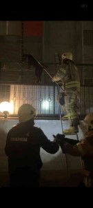 Beylikdüzü'nde Tellere Sikisan Köpegi Itfaiye Ekipleri Kurtardi