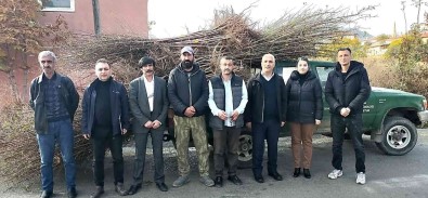 Akçadag'da 540 Adet Sertifikali Badem Fidani Dagitildi