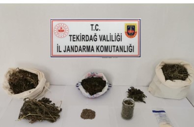 Tekirdag'da 3 Kilo Uyusturucu Ele Geçirildi
