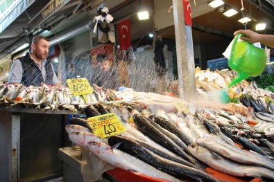 Balik Fiyatlarindan Alan Memnun, Satan Memnun