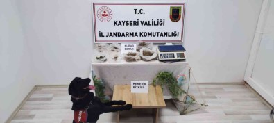 Evinin Bahçesinde Uyusturucu Üreten Sahis Yakalandi