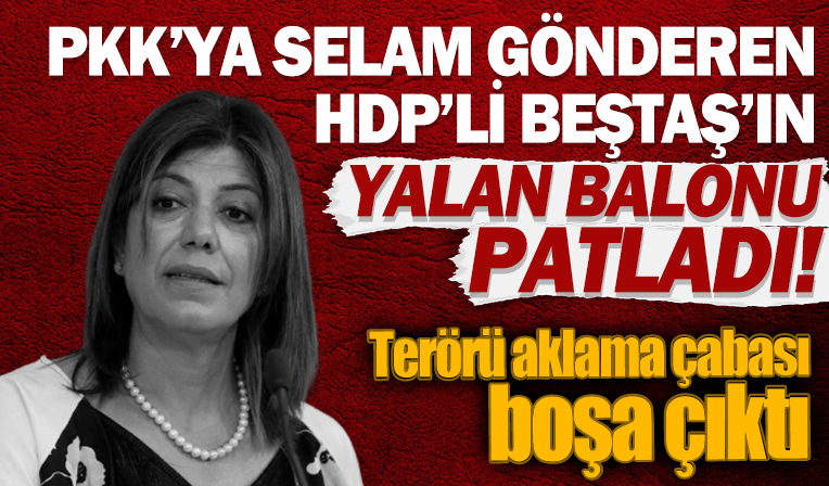 PKK'ya selam çakan HDP'li Beştaş'ın 'önerge yalanı' ortaya çıktı!
