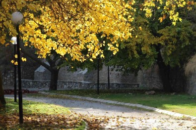 Sonbaharin Renklerine Bürünen Pinarbasi, Görenleri Mest Ediyor