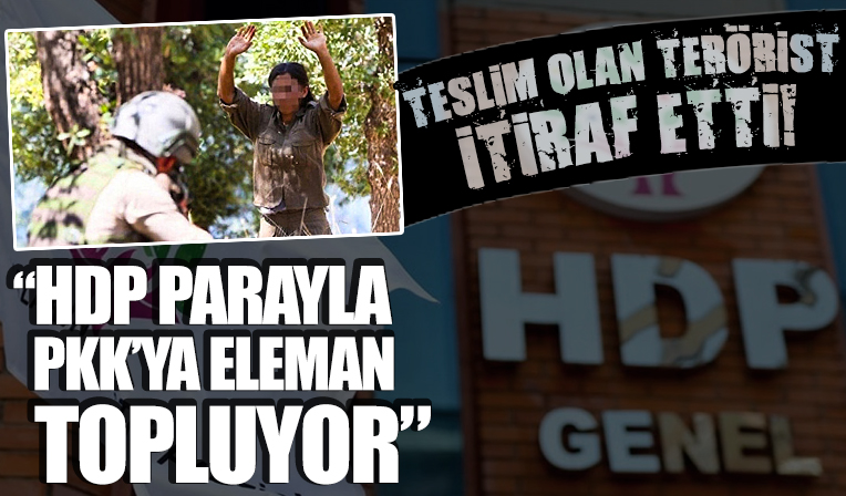 Teslim olan teröristten dikkat çeken sözler: HDP parayla PKK'ya eleman topluyor