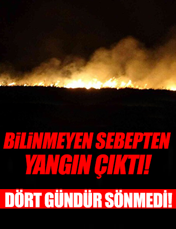 Bilinmeyen bir sebepten dolayı çıktı: Dört gündür alev alev yanıyor