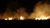Bilinmeyen bir sebepten dolayı çıktı: Dört gündür alev alev yanıyor