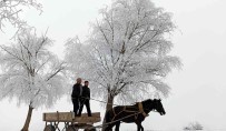 Dogu Anadolu'nun Yüksek Kesimlerinde Kar Yagisi