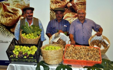 Incirin 272 Çesit Disisi, 58 Çesit Erkegi Olmak Üzere 330 Türü Bulunuyor