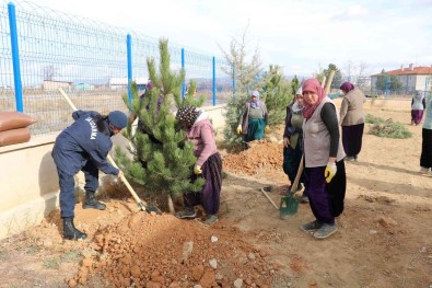 Jandarma Karakol Bahçesine Agaç Dikti