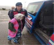 Kaybolan Yasli Kadini Jandarma Ve AFAD Ekipleri Buldu