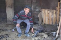 Pire Için Yorgan Degil, Saman Yakiyorlar