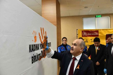 Vali Dagli Açiklamasi 'Kadina Siddetin Kökeni Ailedeki Dejenerasyon'