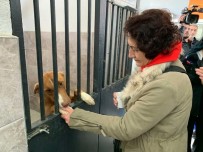 Hayvanseverler Rehabilitasyon Merkezine Gitti, Sosyal Medyadaki Iddialar Yalanlandi