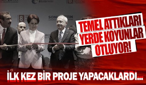 Adana'da Kılıçdaroğlu ve Akşener'in 'temel attığı' proje alanı koyunlara kaldı