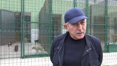 Baskan Sari Hayvan Barinaginda Denetim Yapti Açiklamasi 'Sokak Hayvanlari Bizim Misafirimiz'