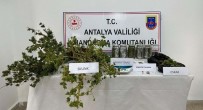 Sera Ve Evde Yetistirilen Uyusturucuya Jandarma Operasyonu